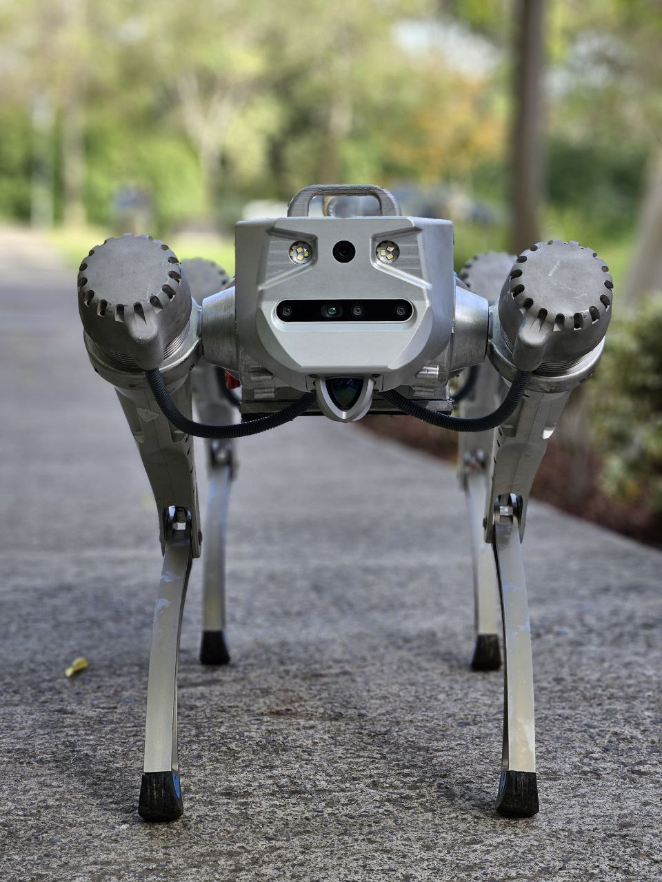 Proteo V1 Front View